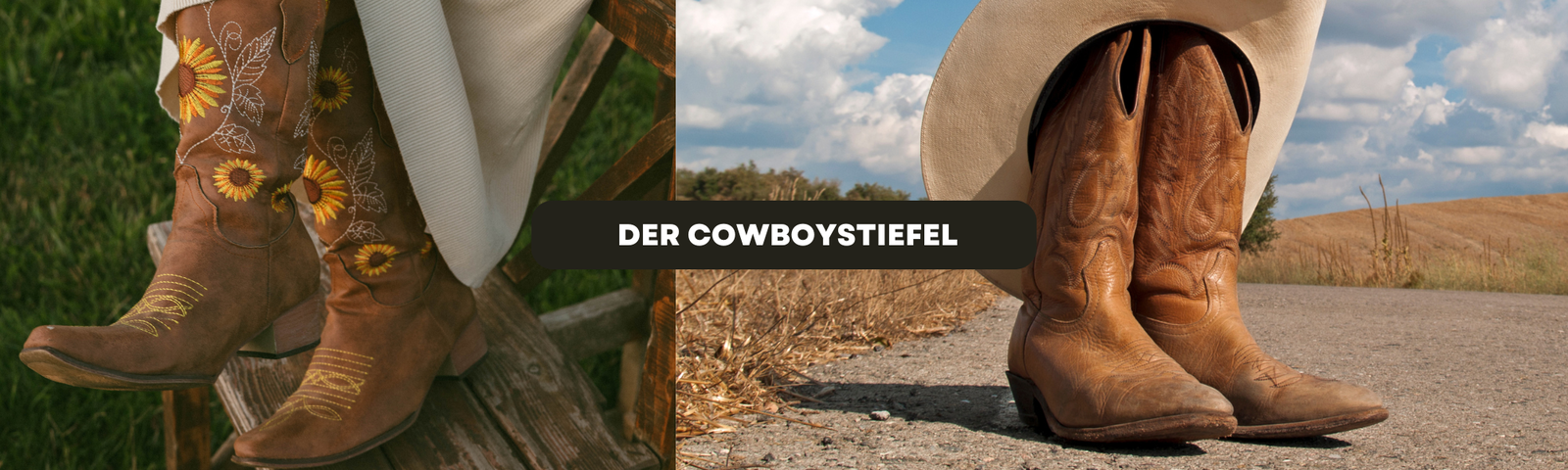 Blogbanner Cowboystiefel