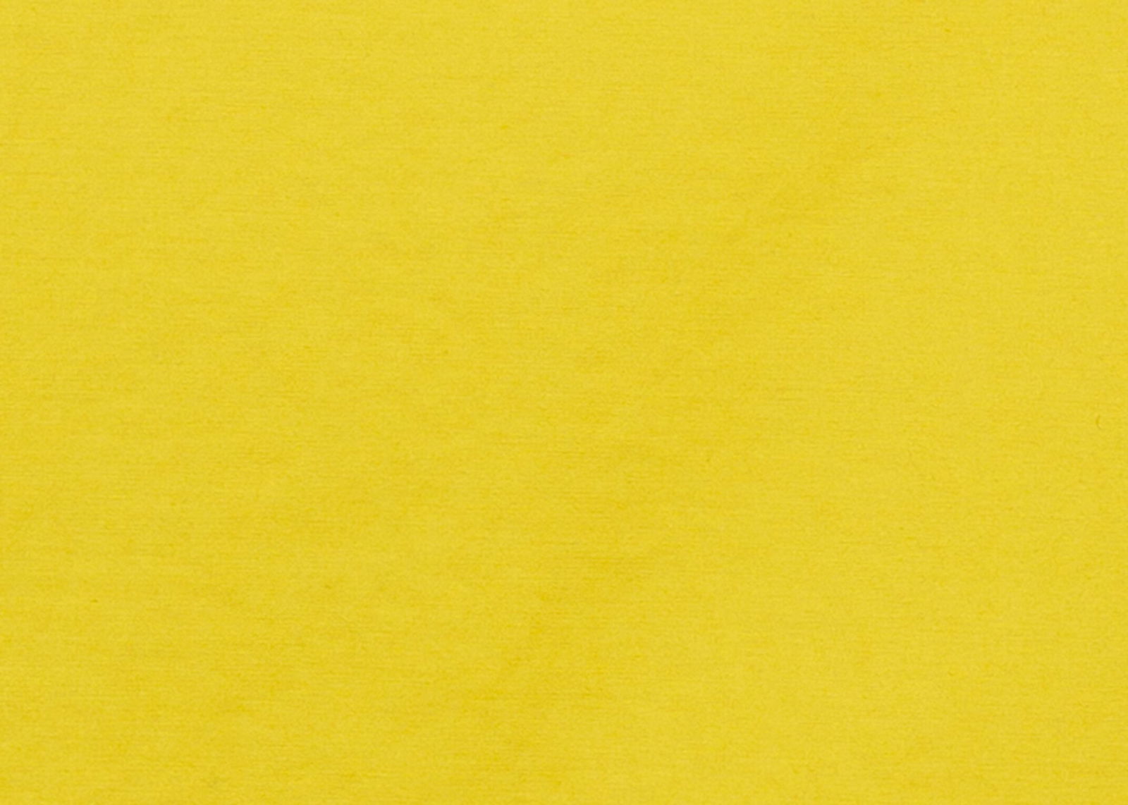 Luisa Cerano |  Luisa Cerano Klassischer Mantel  | 40 | acid yellow