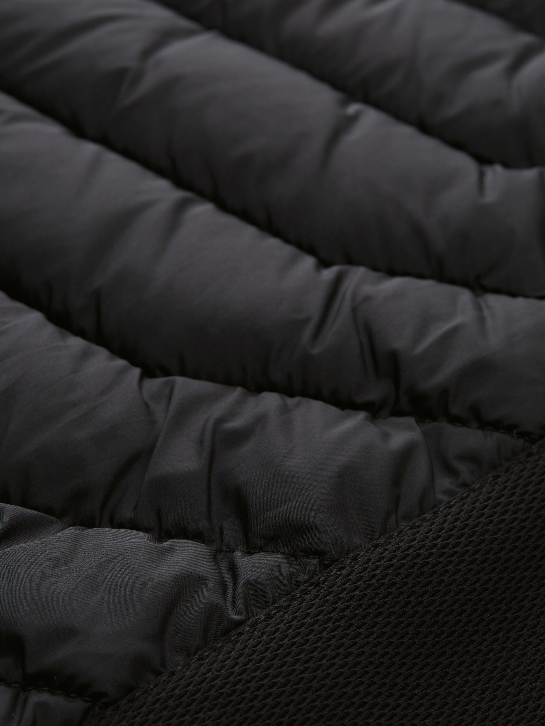 Tom Tailor |  Tom Tailor Blouson  | XXXL | black