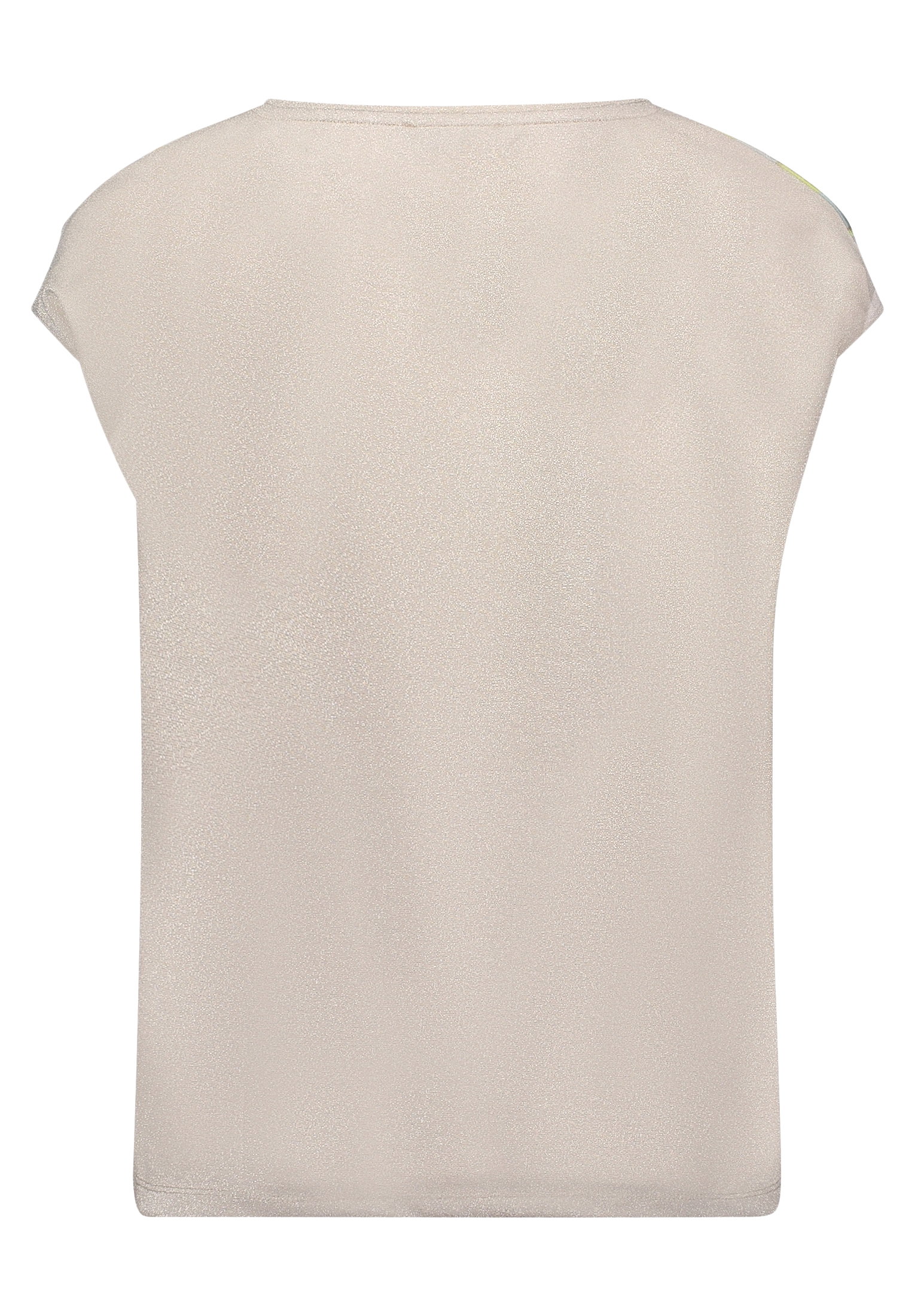 Blusenshirt #2