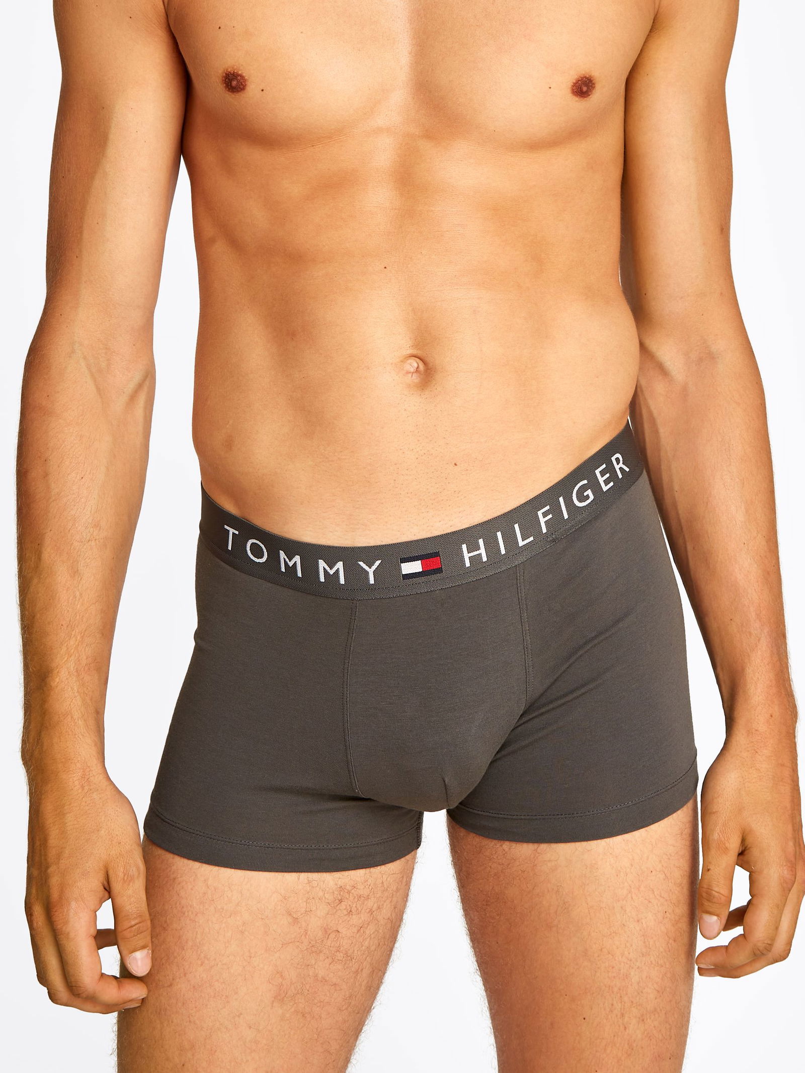 Tommy Hilfiger |  Tommy Hilfiger Multipack  | XL