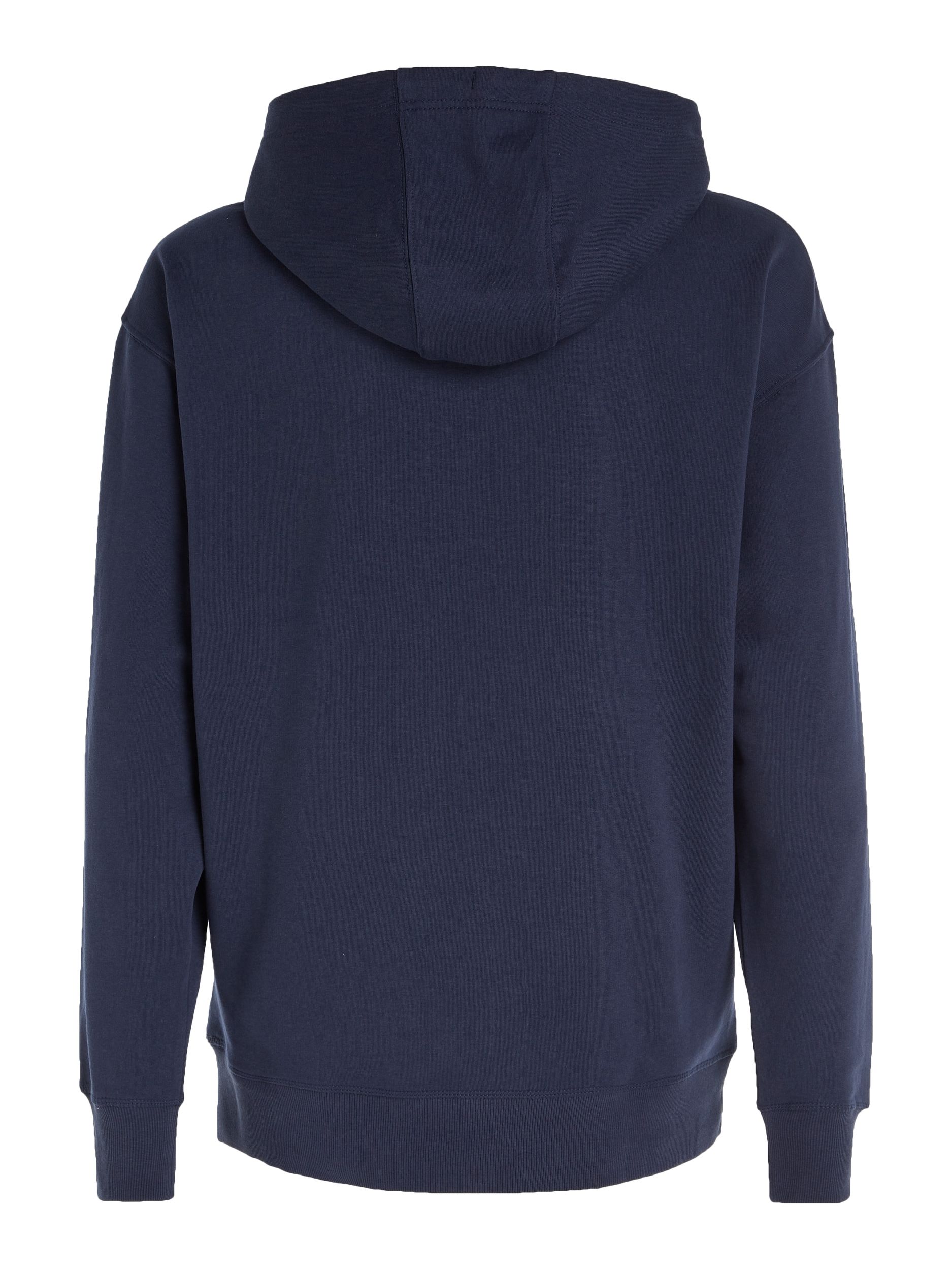 TJM REG LINEAR HOODIE