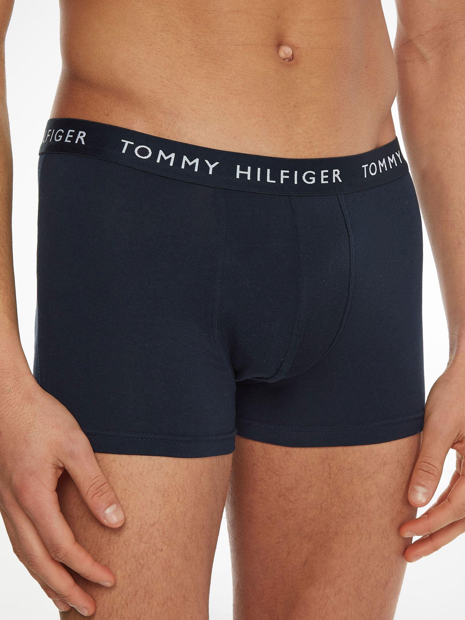 Tommy hilfiger men's swimwear sale discount