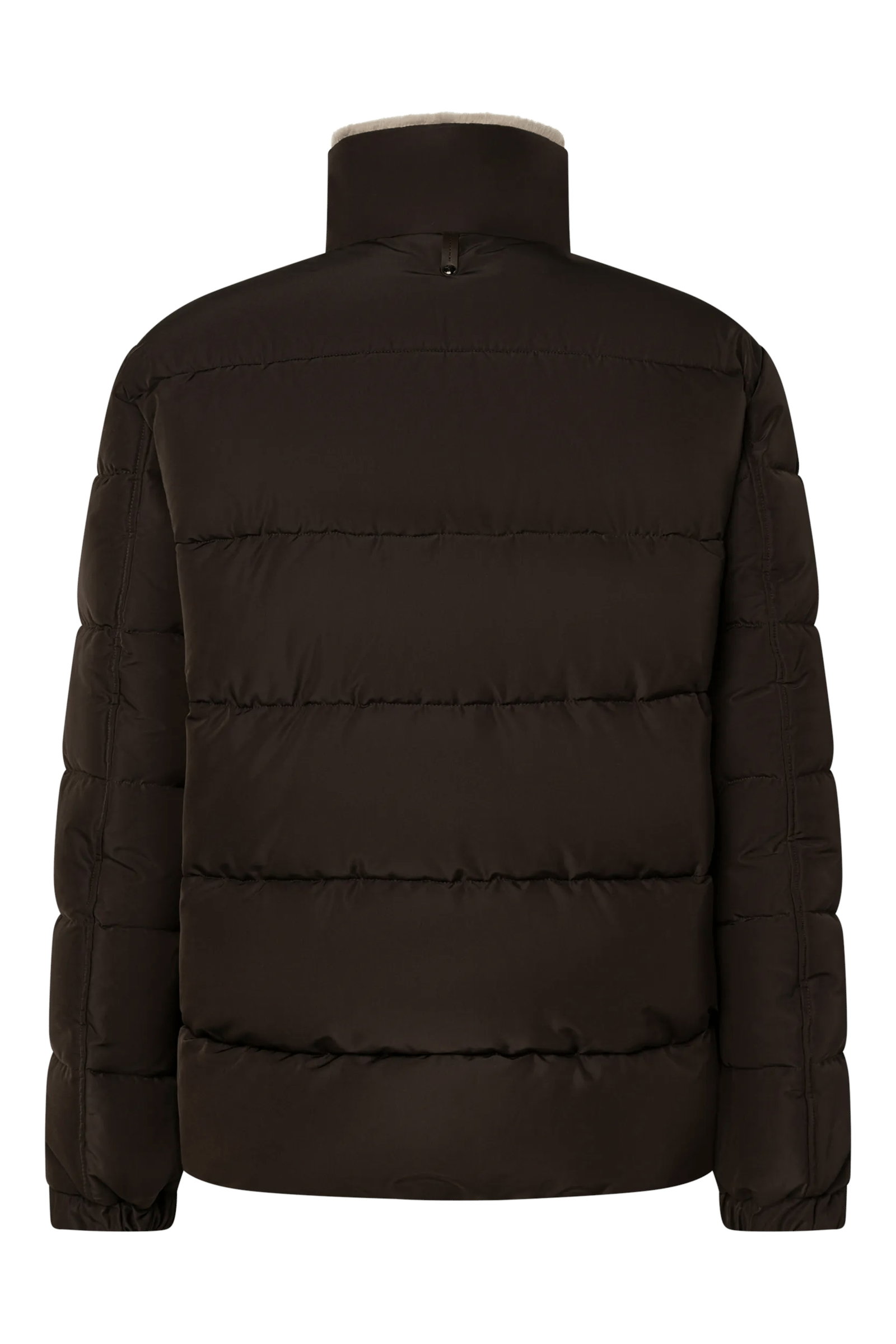 JO-342Newton, Dark Brown 201 #2