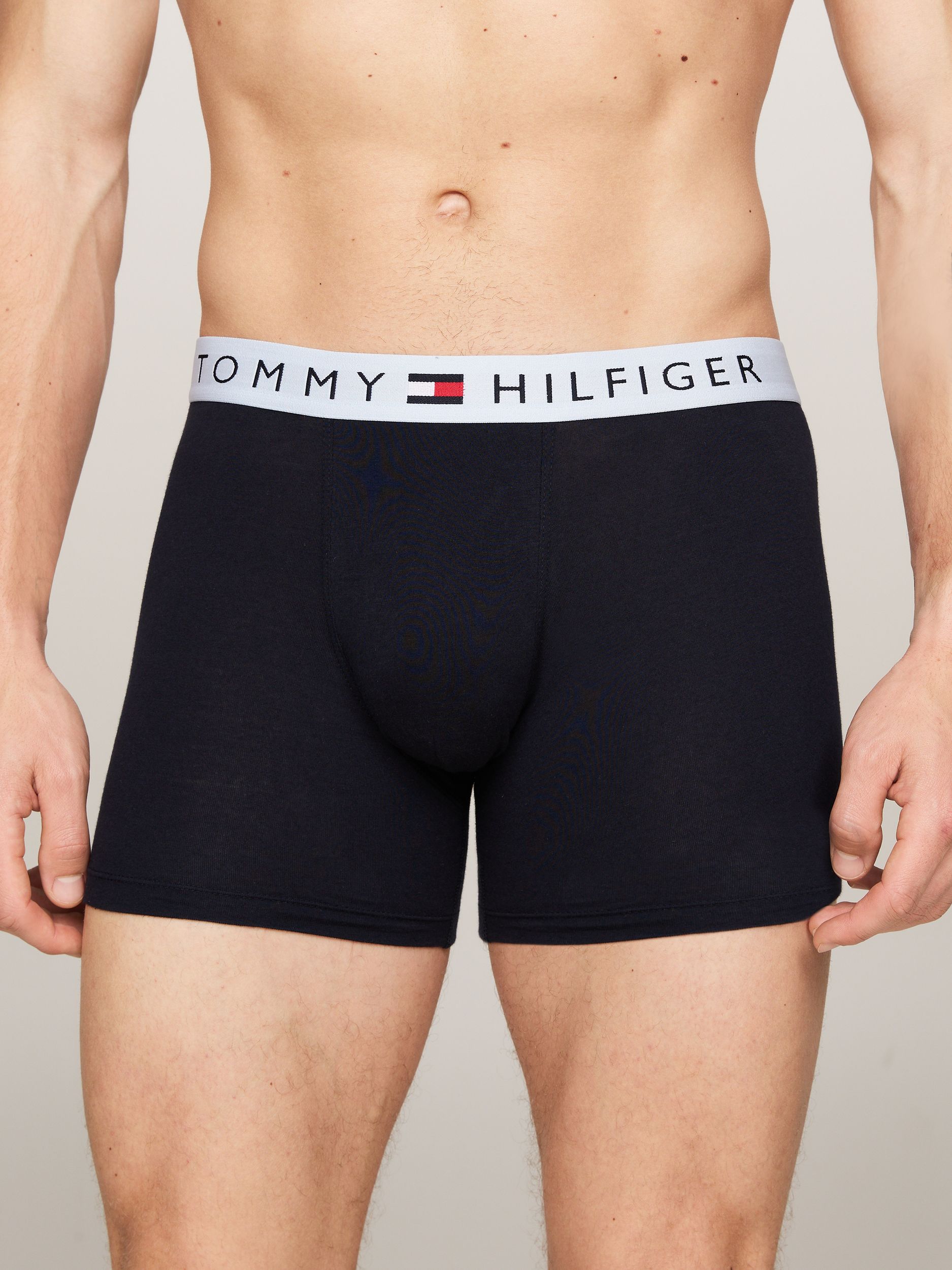 Tommy Hilfiger |  Tommy Hilfiger Multipack  | XL | 0R1