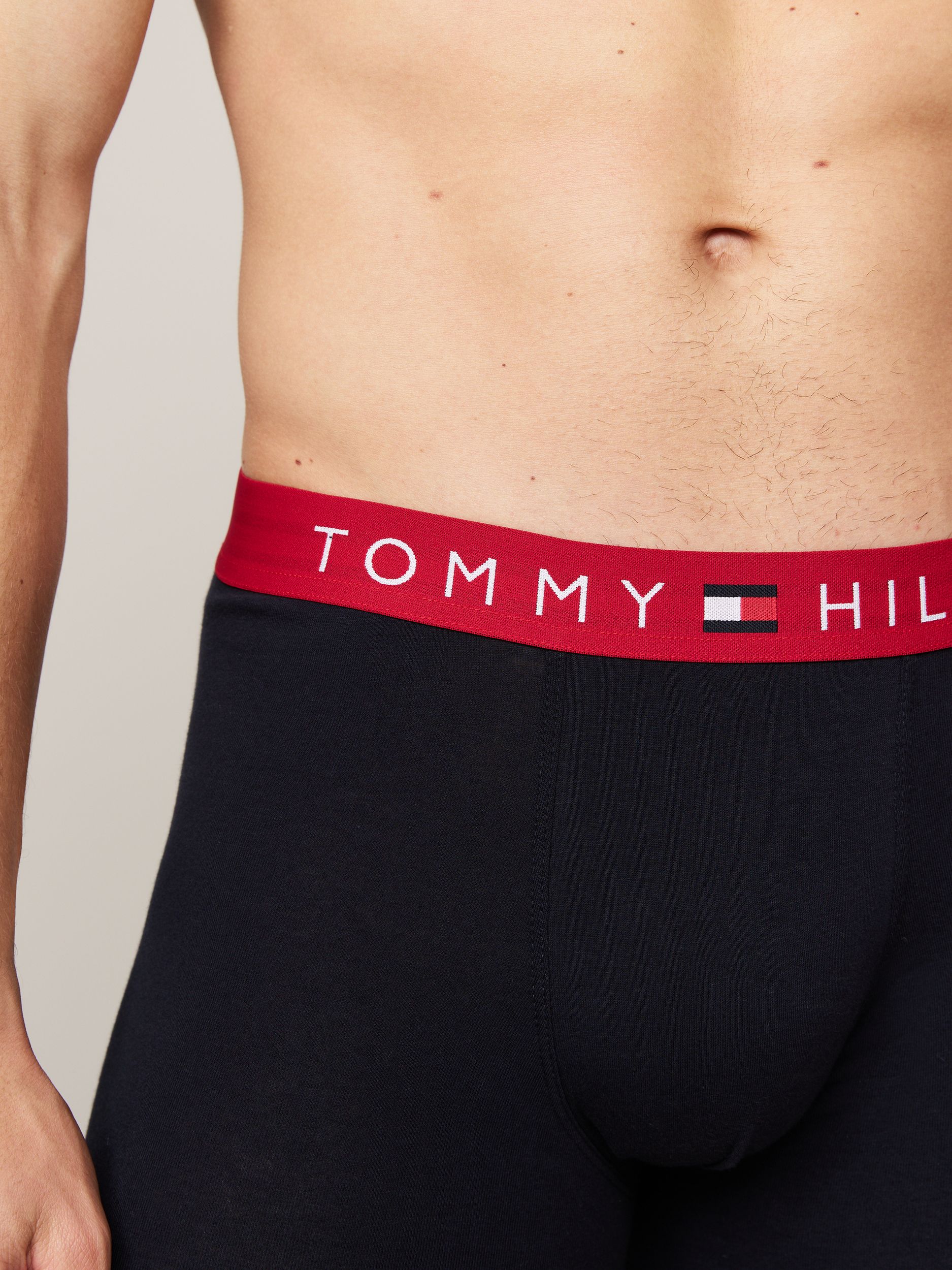 Tommy Hilfiger |  Tommy Hilfiger Multipack  | XL | 0R1