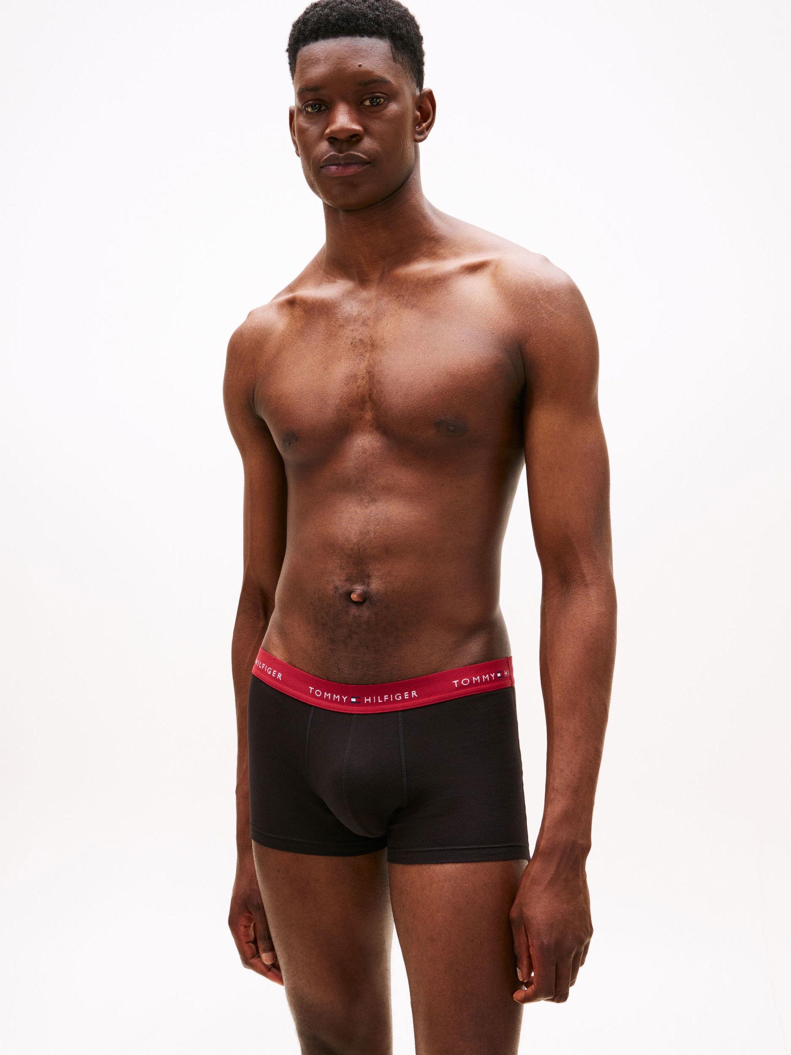 2d07f7f236ee1205dafd9ed0c8fbd3ba Tommy Hilfiger |  Tommy Hilfiger Multipack  | M