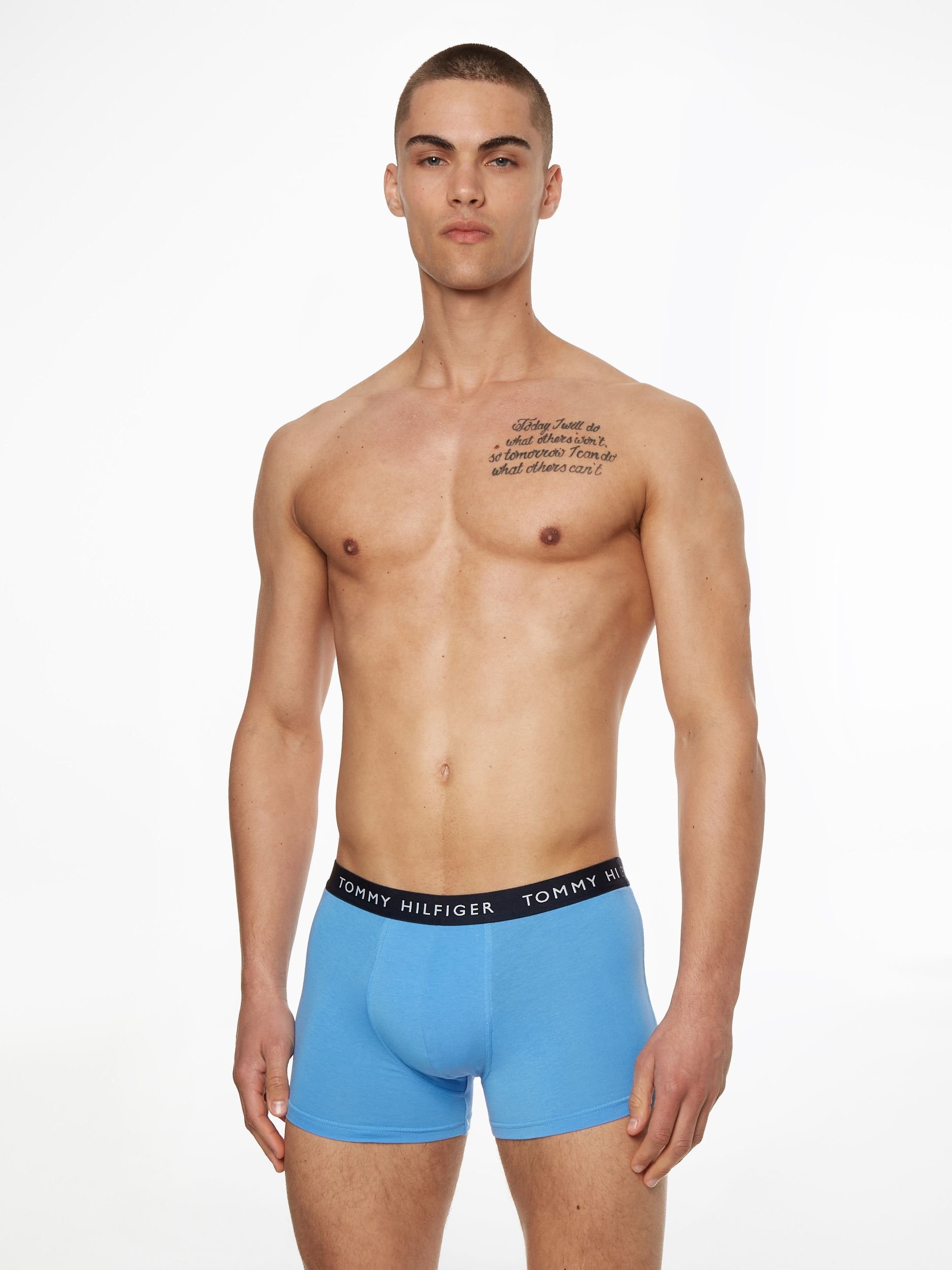 Tommy Hilfiger Underwear/Swimwear (PVH Group) Multipack 