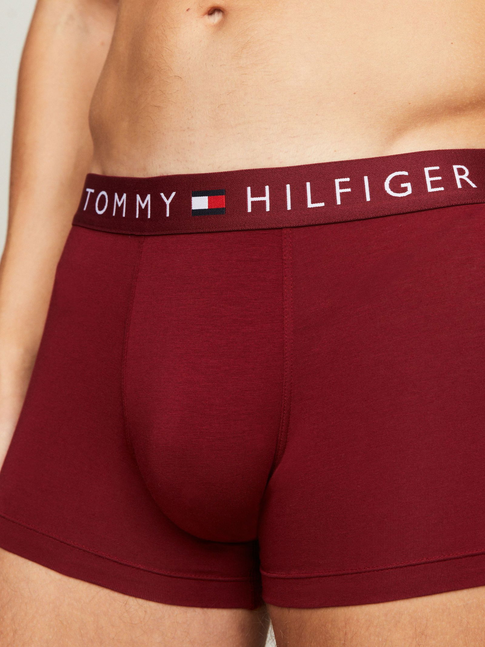 feabf0ad0613dd33c318e1dcc0ec75e1 Tommy Hilfiger | Tommy Hilfiger Multipack | L | des sky/white/rouge