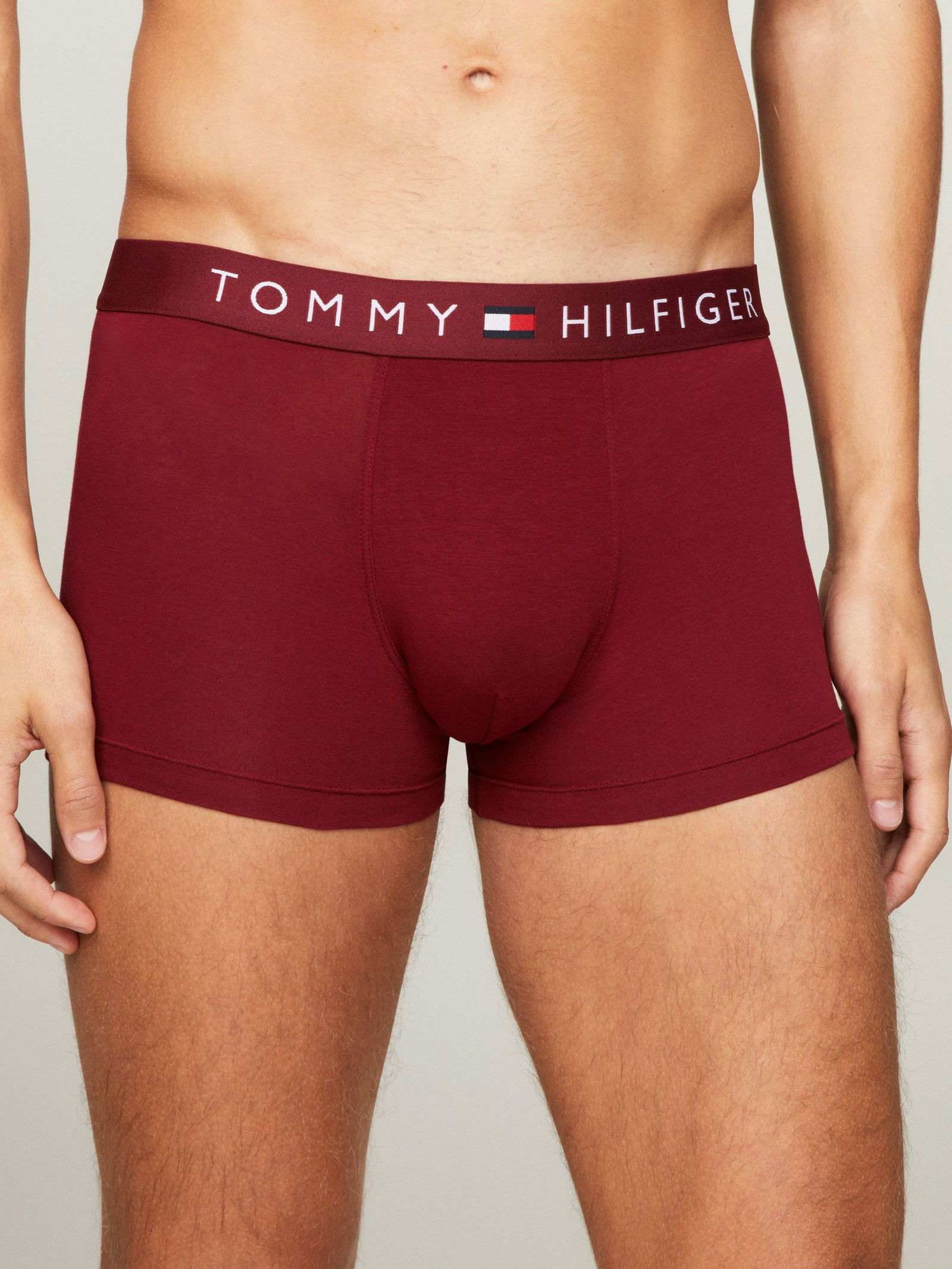 159b83a17c9fcf0fa06cead0395cb14f Tommy Hilfiger | Tommy Hilfiger Multipack | L | des sky/white/rouge
