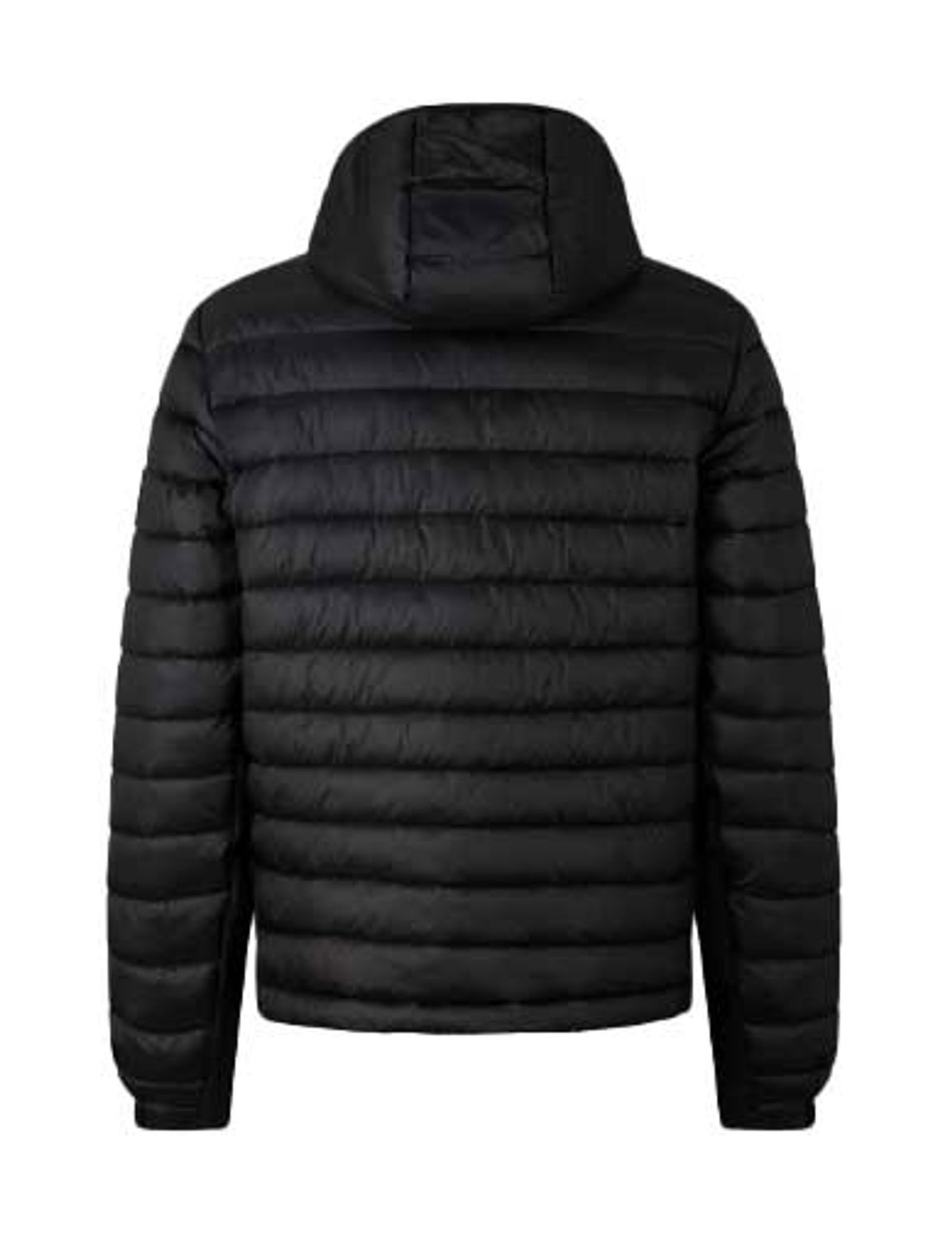 5952350c607e553ecf5ed6457b483844 Bogner | Bogner Fire + Ice Steppjacke ELVIS | 56 | black