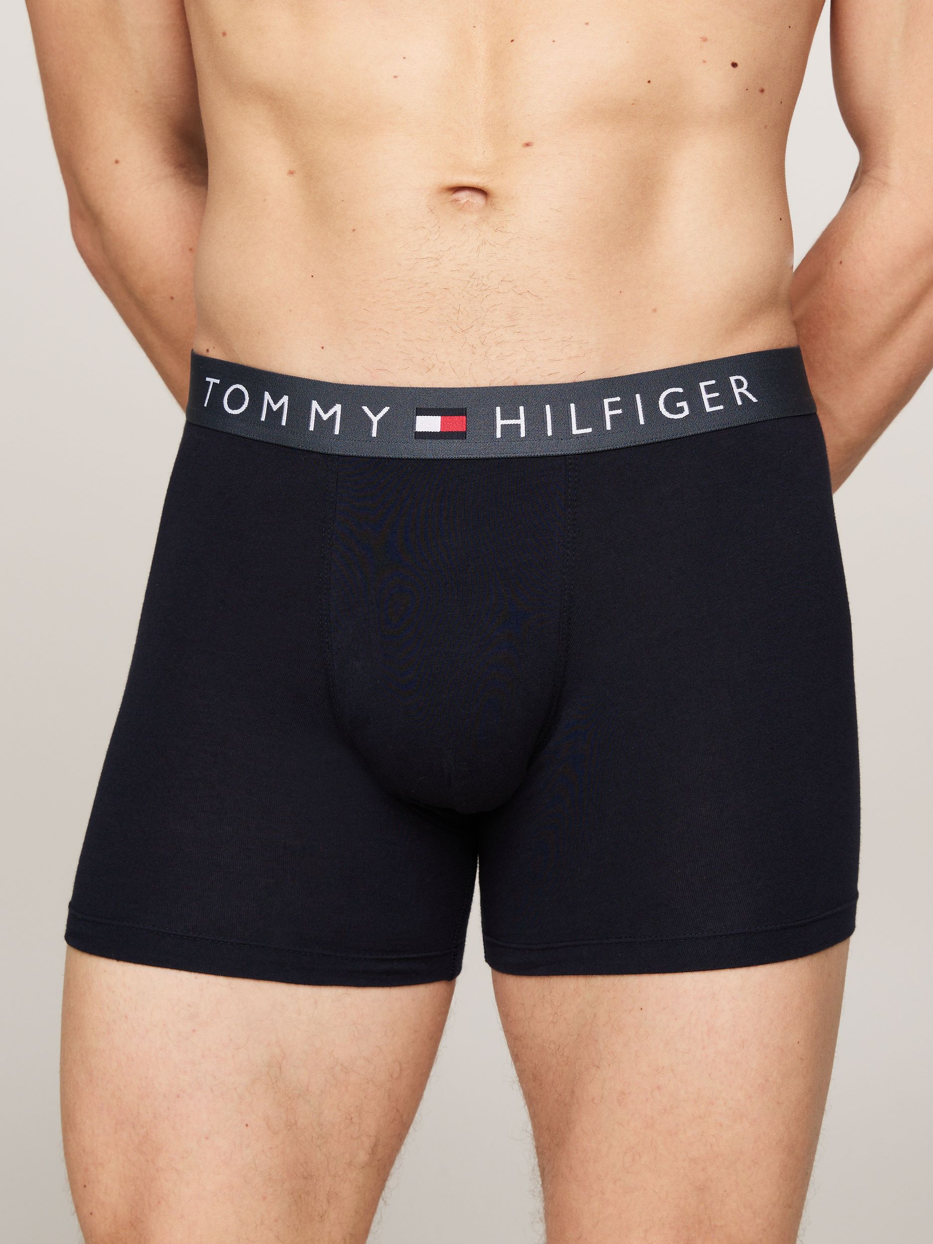 Tommy Hilfiger |  Tommy Hilfiger Multipack  | XL | 0R1