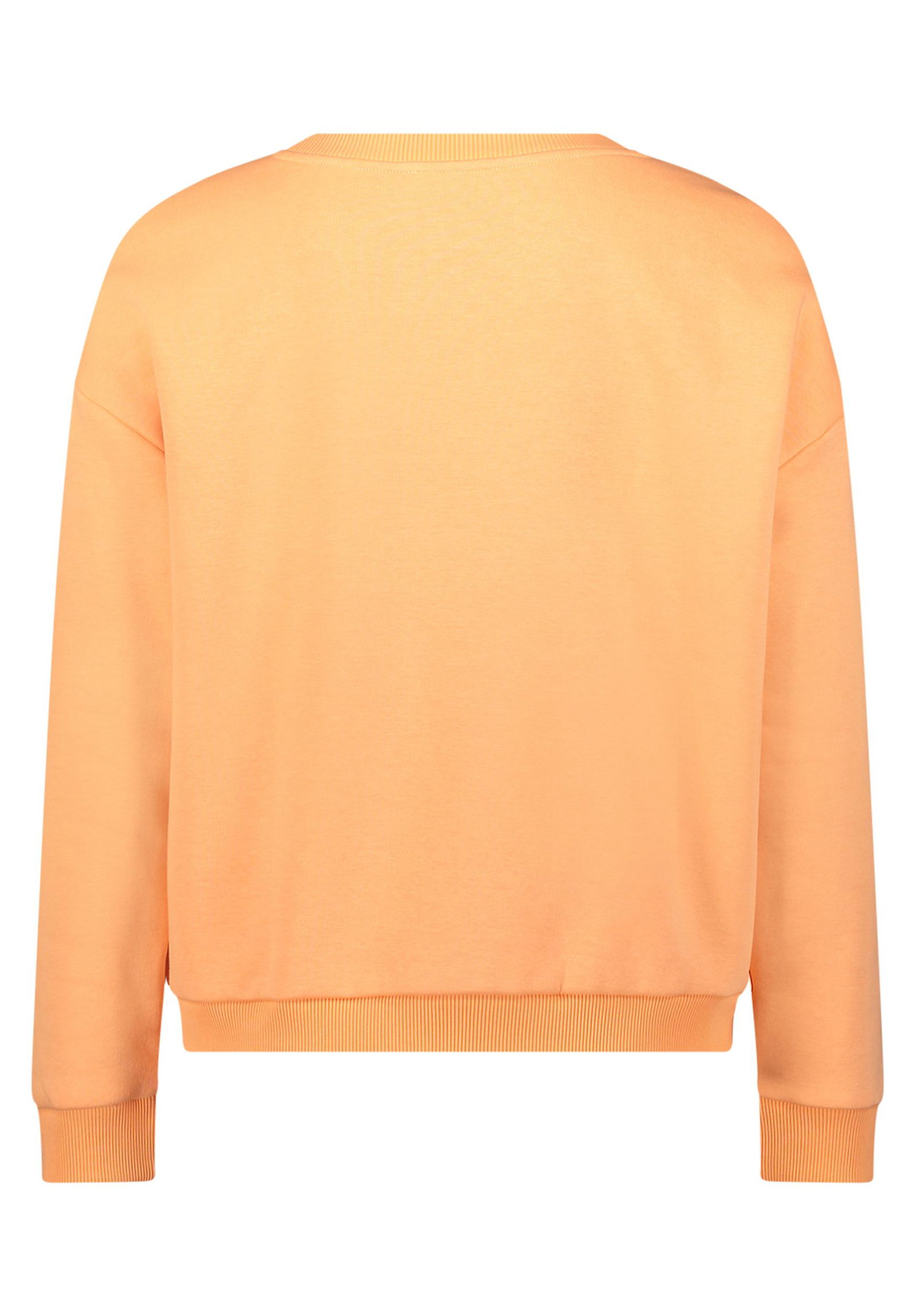 Cartoon |  Cartoon Sweatshirt  | 36