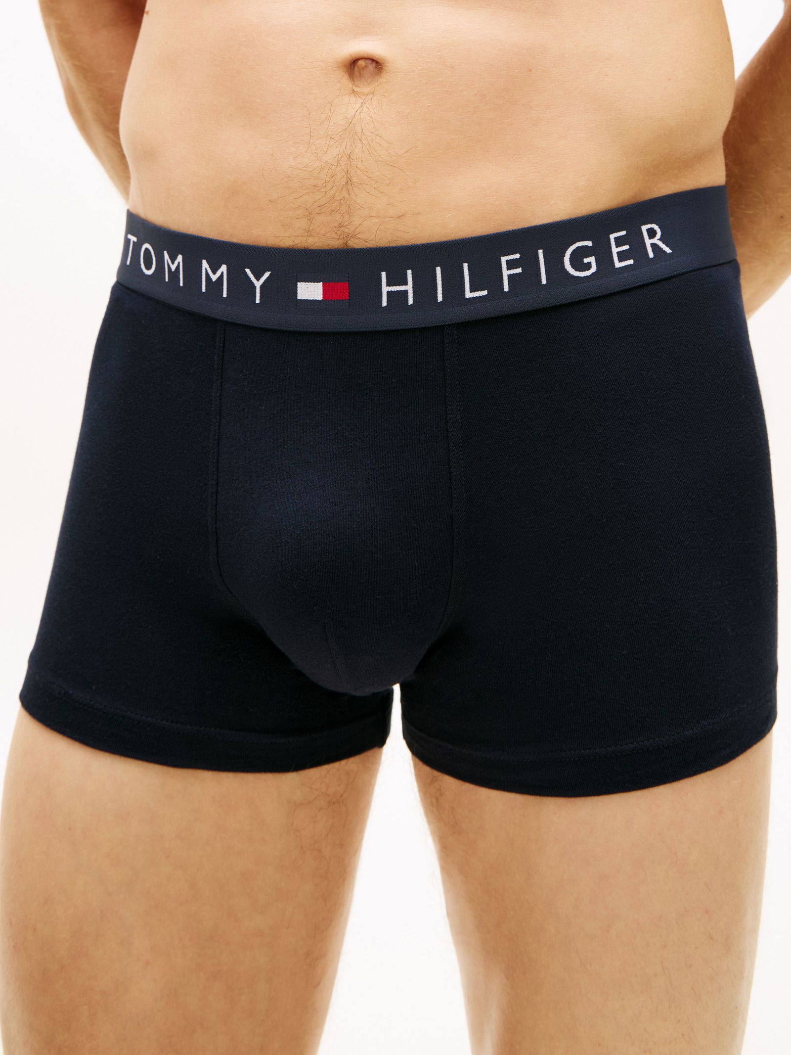 Tommy Hilfiger |  Tommy Hilfiger Multipack  | L | des sky/des sky/des sky