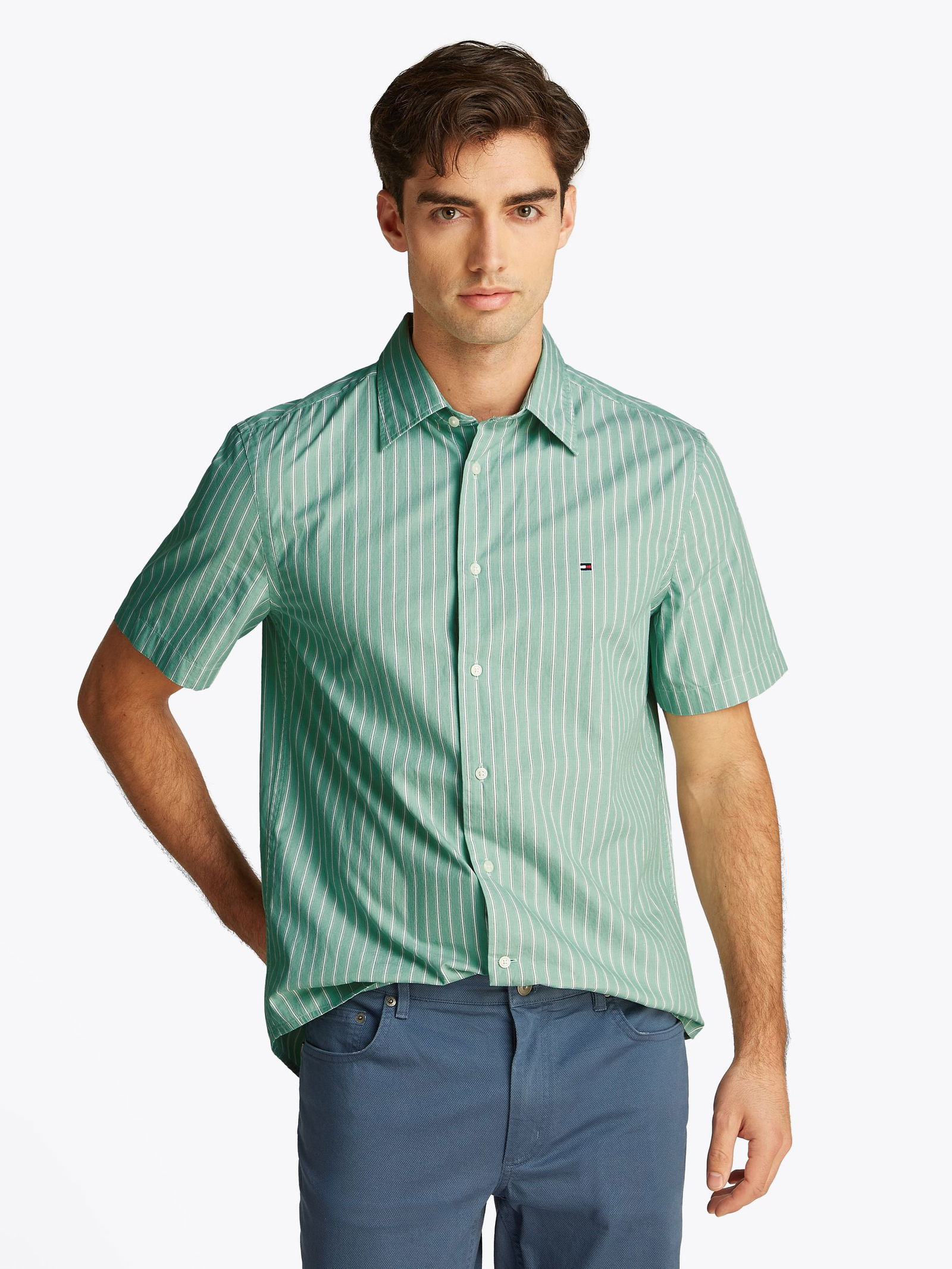 Tommy Hilfiger |  Tommy Hilfiger Hemd Regular Fit  | L | fort green / stripe