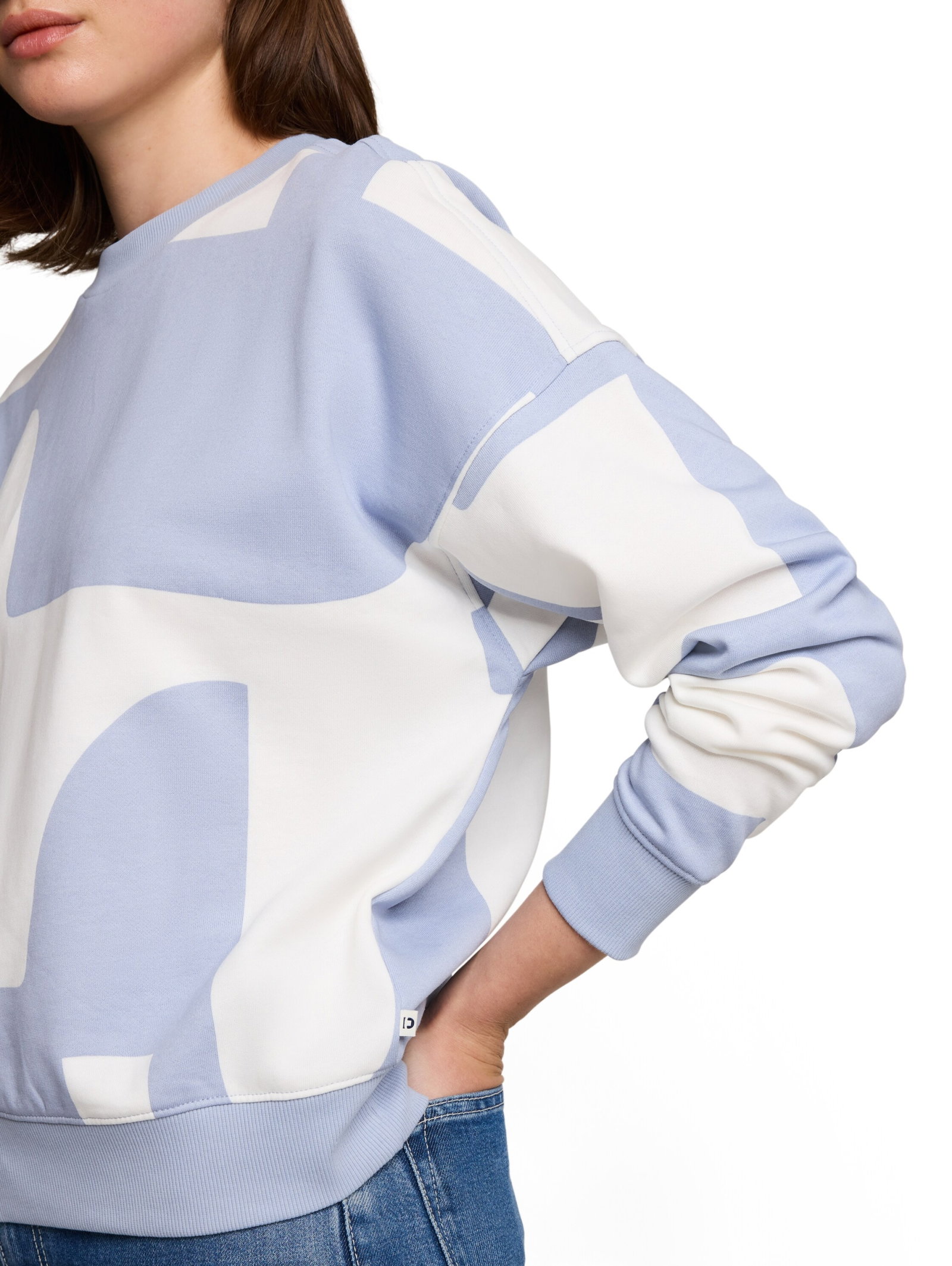 printed sweatshirt, foggy blue big scale print #6