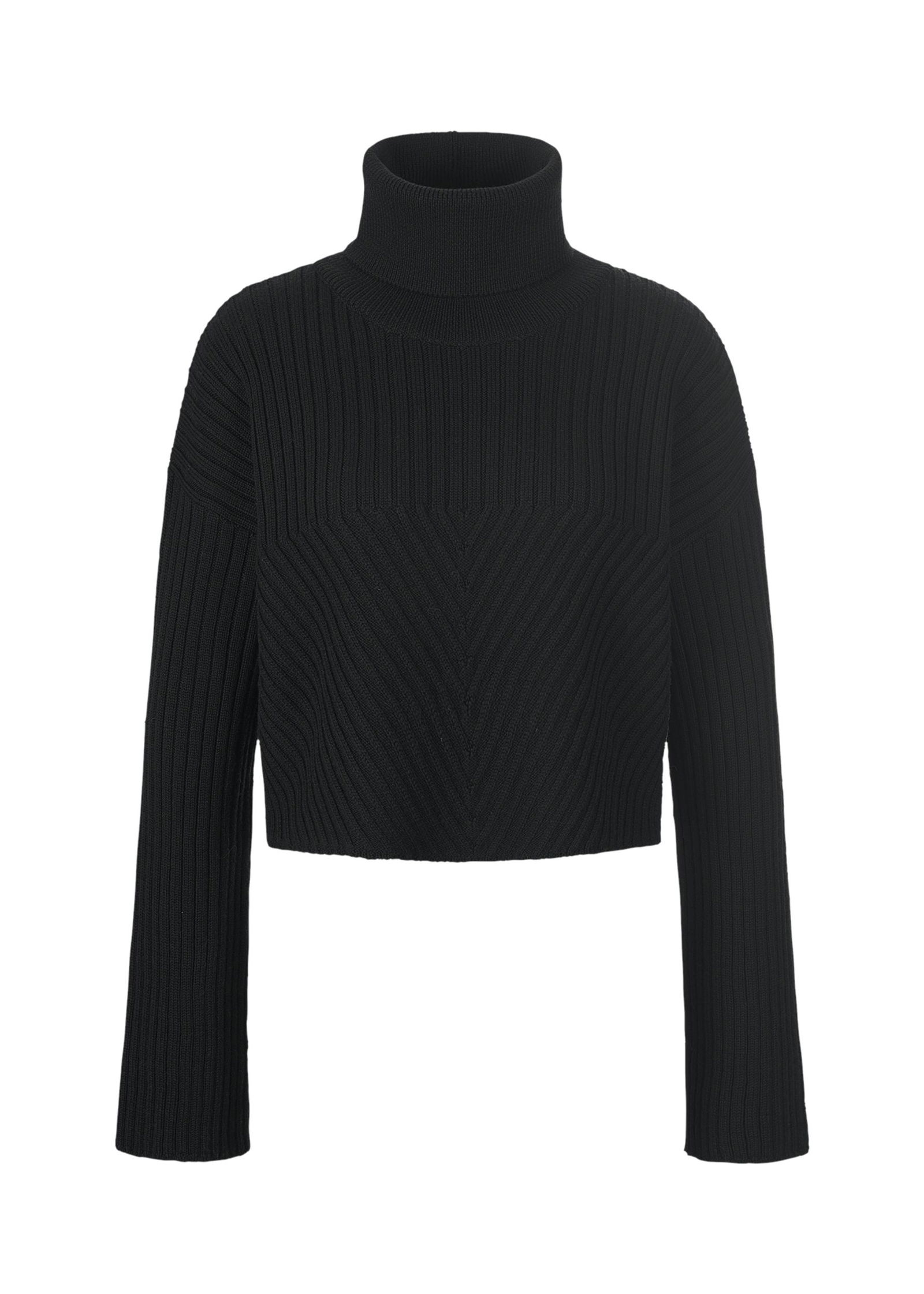 Riani |  Riani Rollkragenpullover  | 38 | black