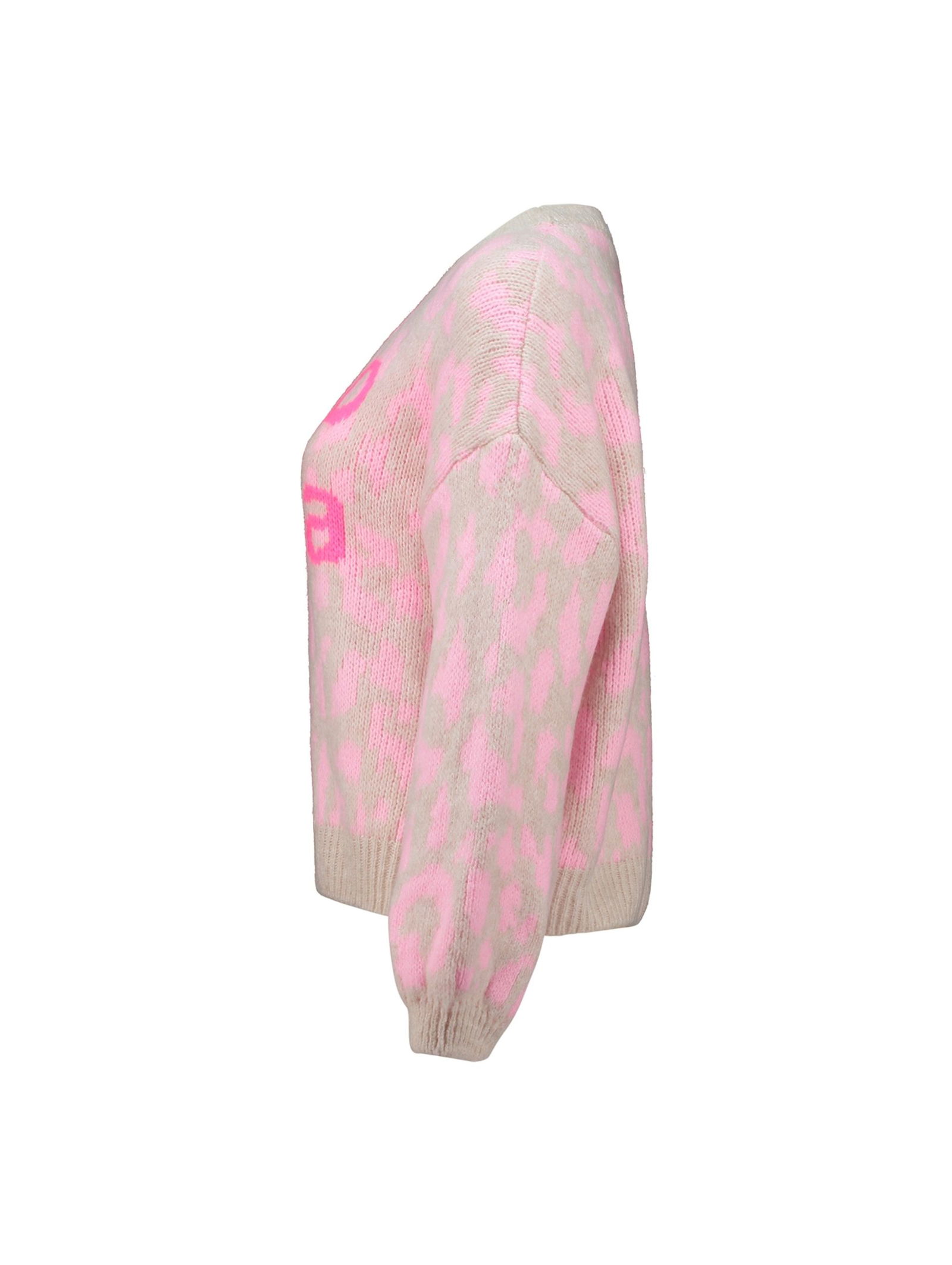 Hailys |  Hailys Pullover  | L/XL | beige/light pink