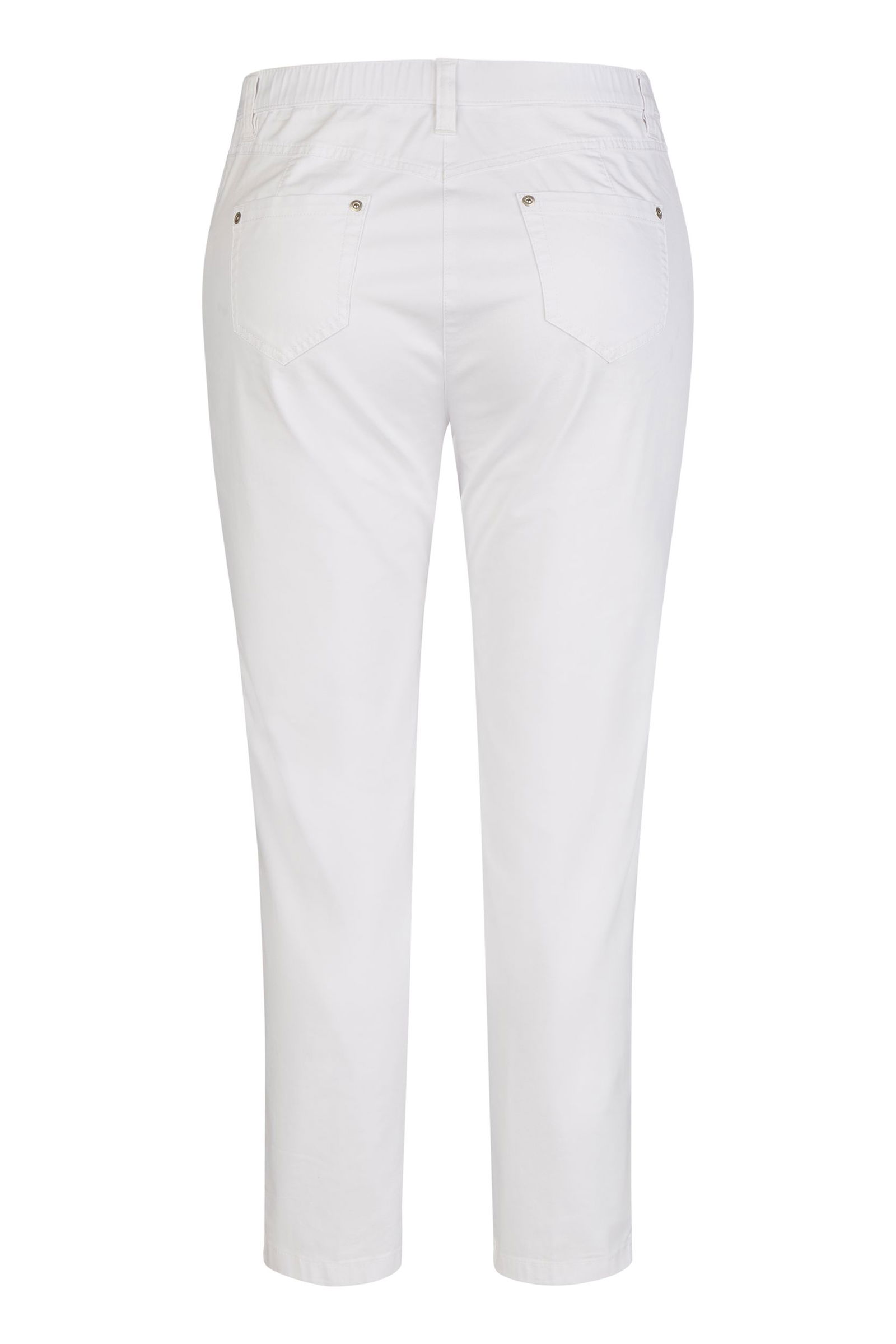 KjBrand | KJ Brand Chino "Betty" | 48