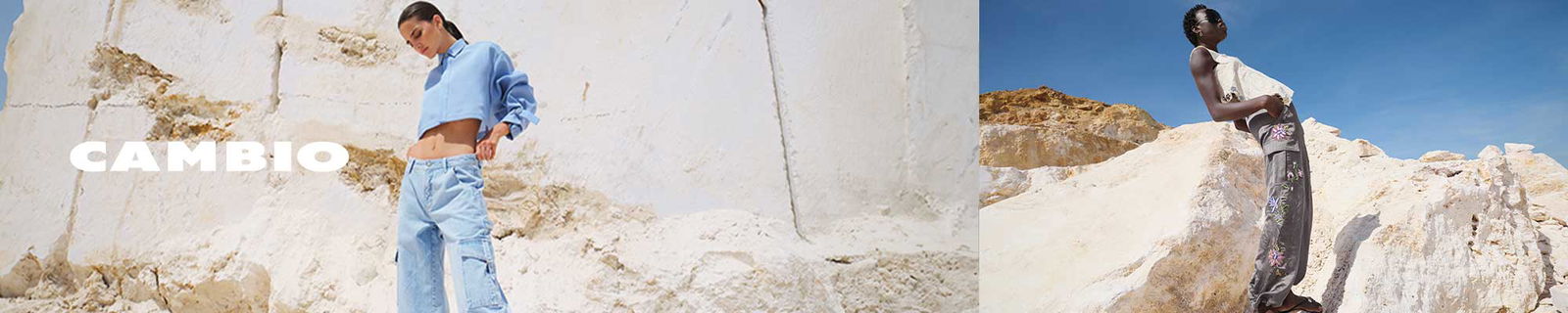 Banner Cambio