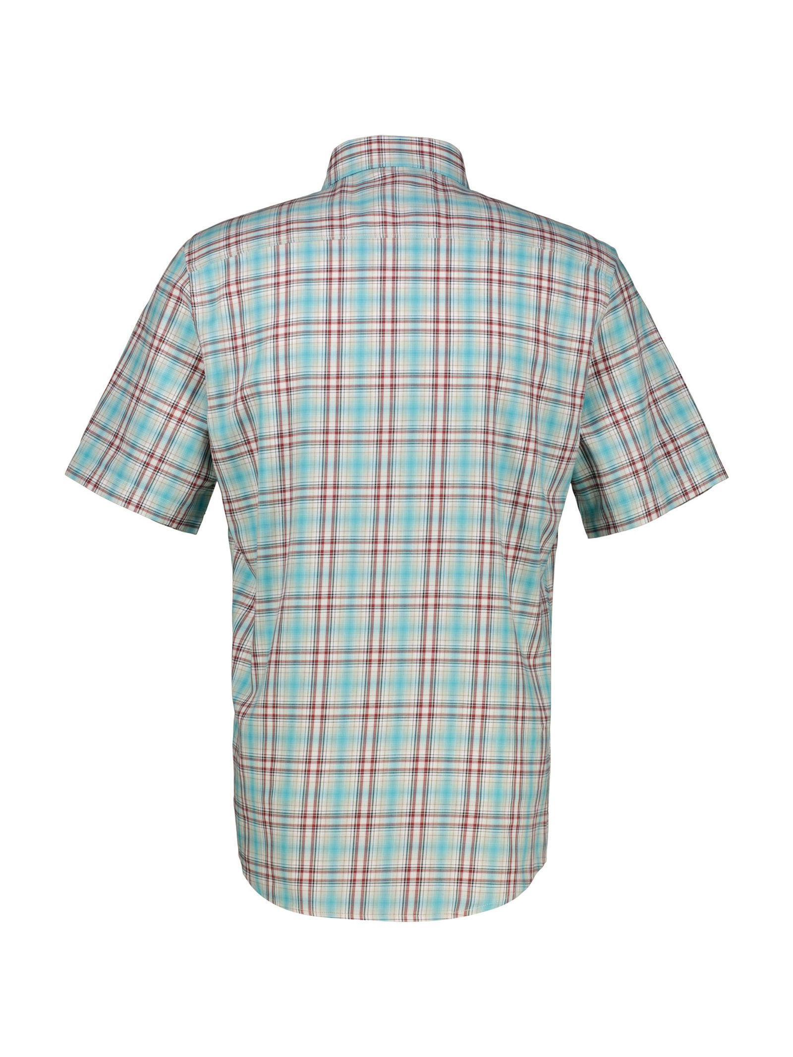  |  BUTTON DOWN | XXL | 2465_456