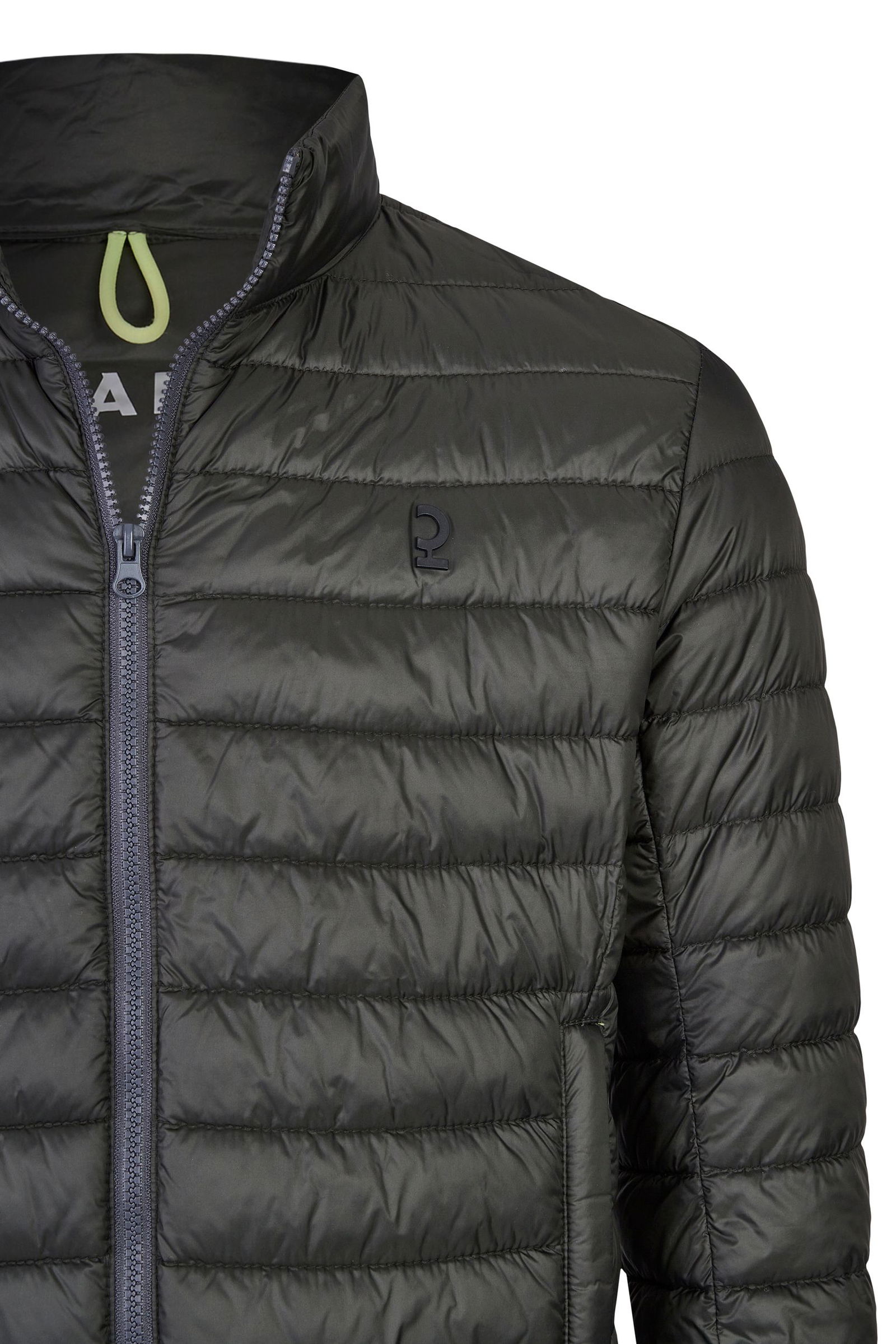 Calamar |  Calamar Lederjacke  | 56 | forest leaves