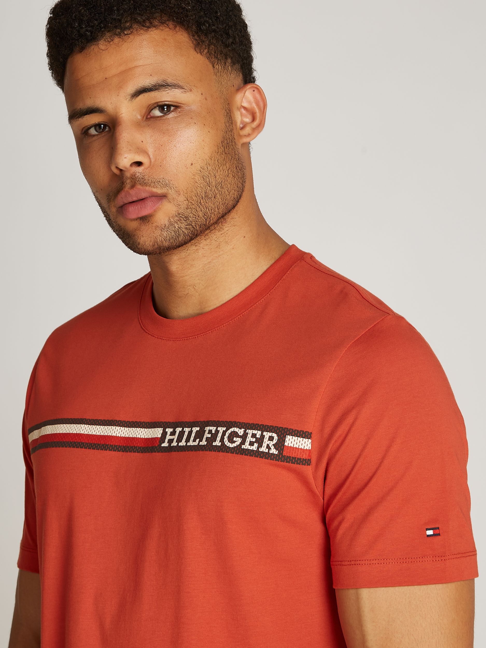 Tommy Hilfiger Shirt 