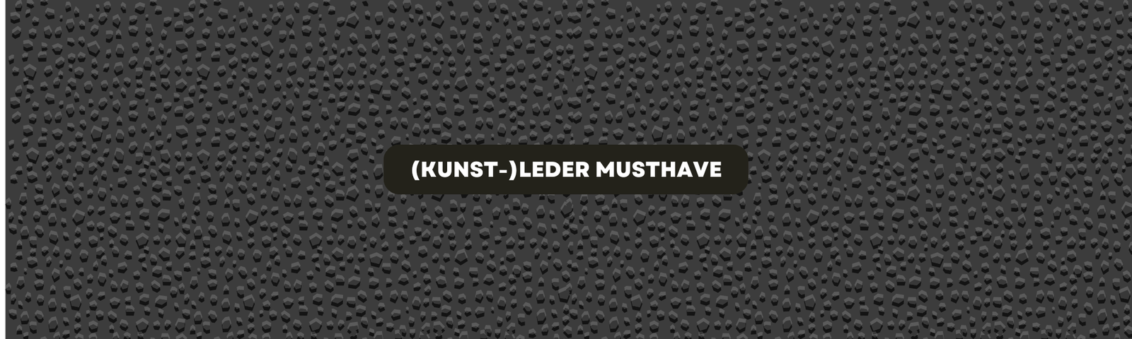 Blogbanner Leder Kunstleder