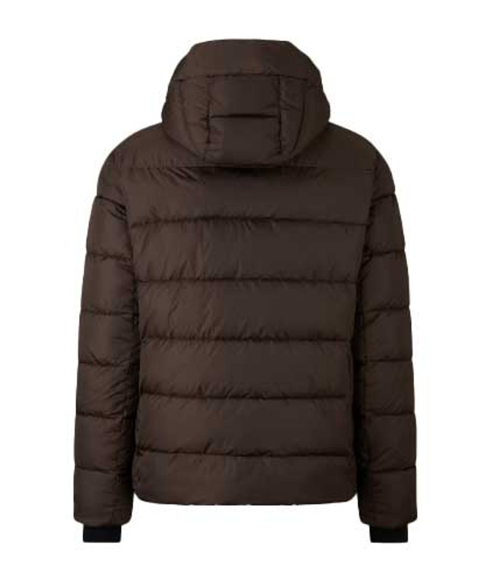 Bogner Fire + Ice Steppjacke Outdoorjacke LUKA2 #2