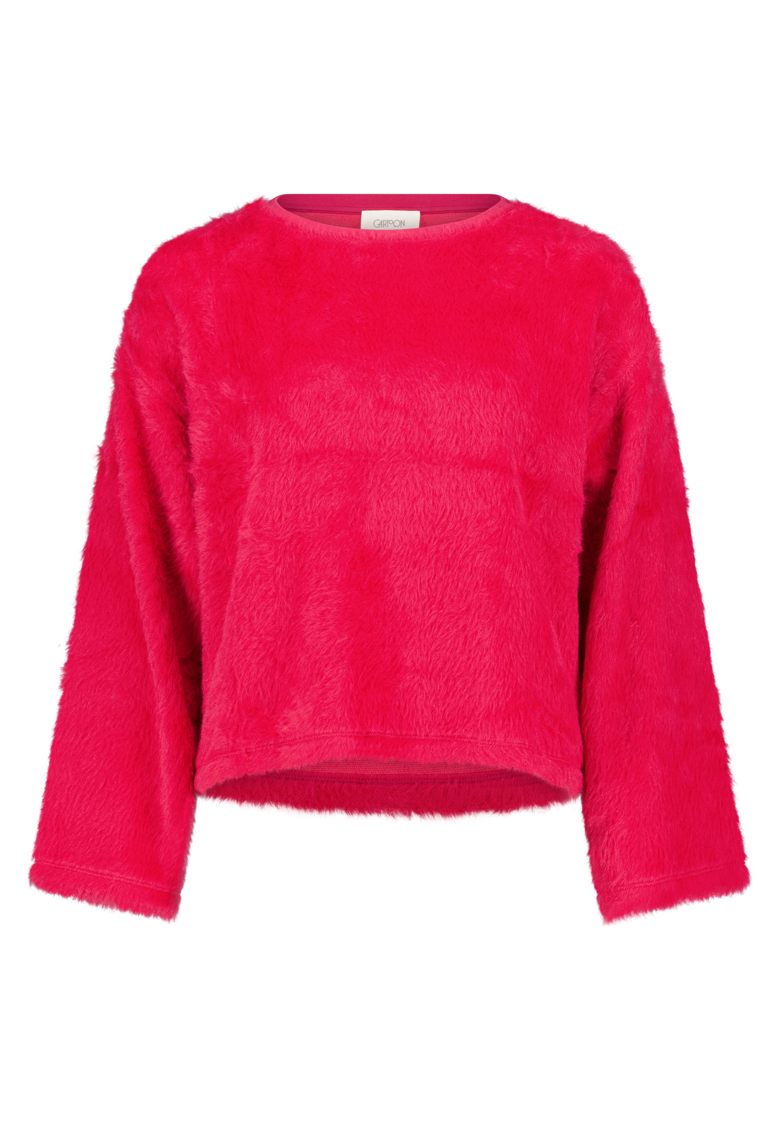Cartoon Sweatshirt #1