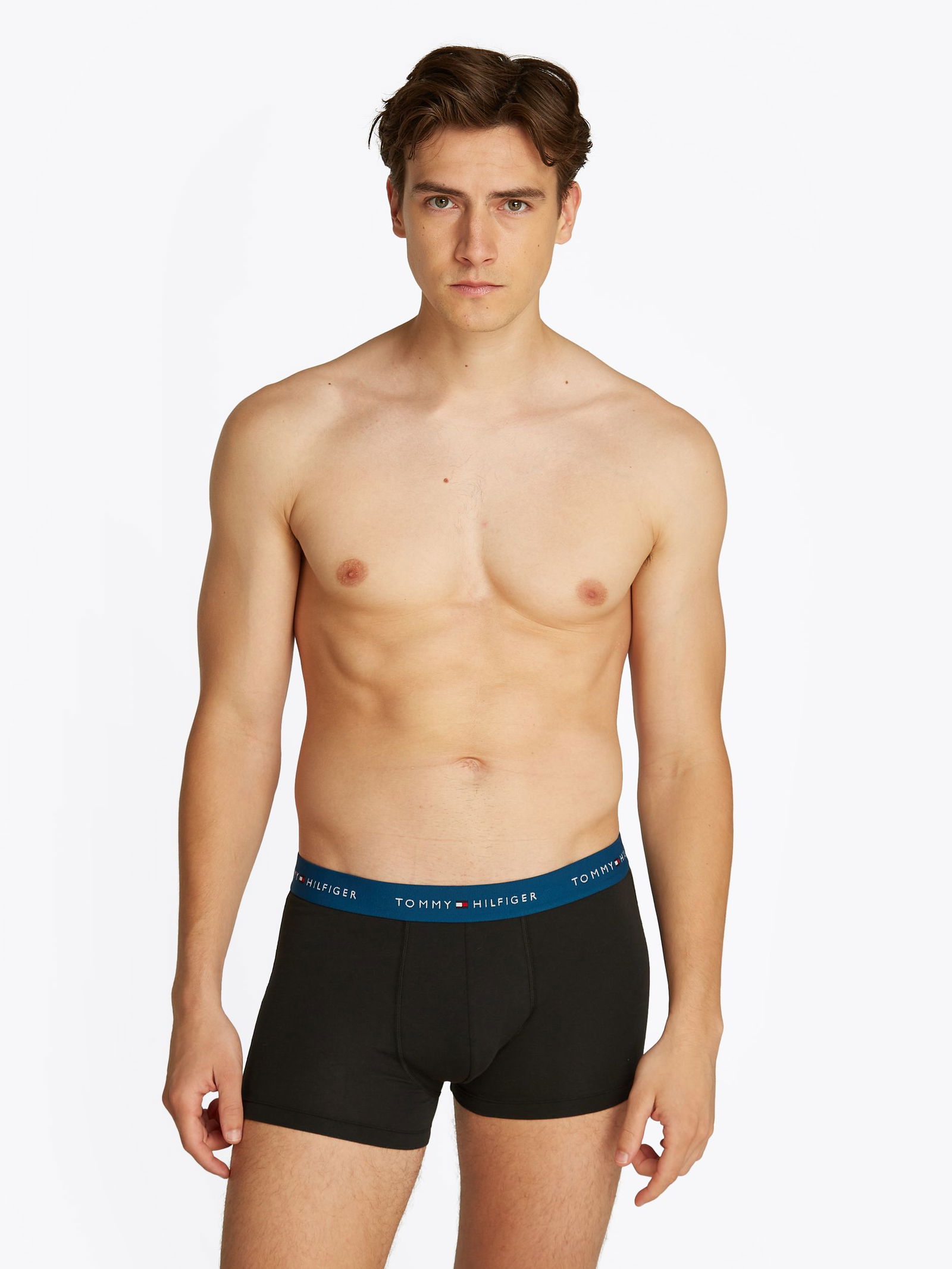 Tommy Hilfiger |  Tommy Hilfiger Multipack  | L