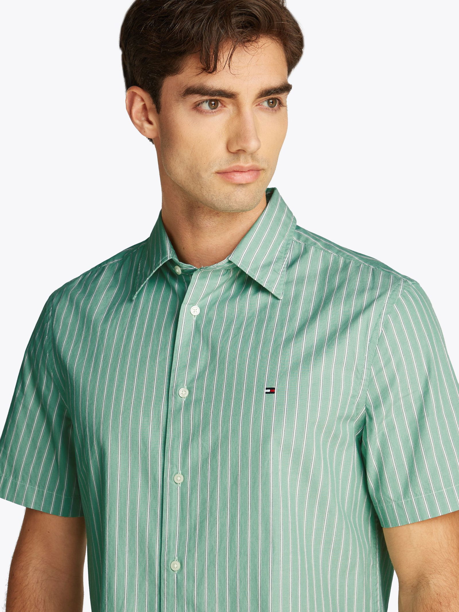 Tommy Hilfiger |  Tommy Hilfiger Hemd Regular Fit  | L | fort green / stripe