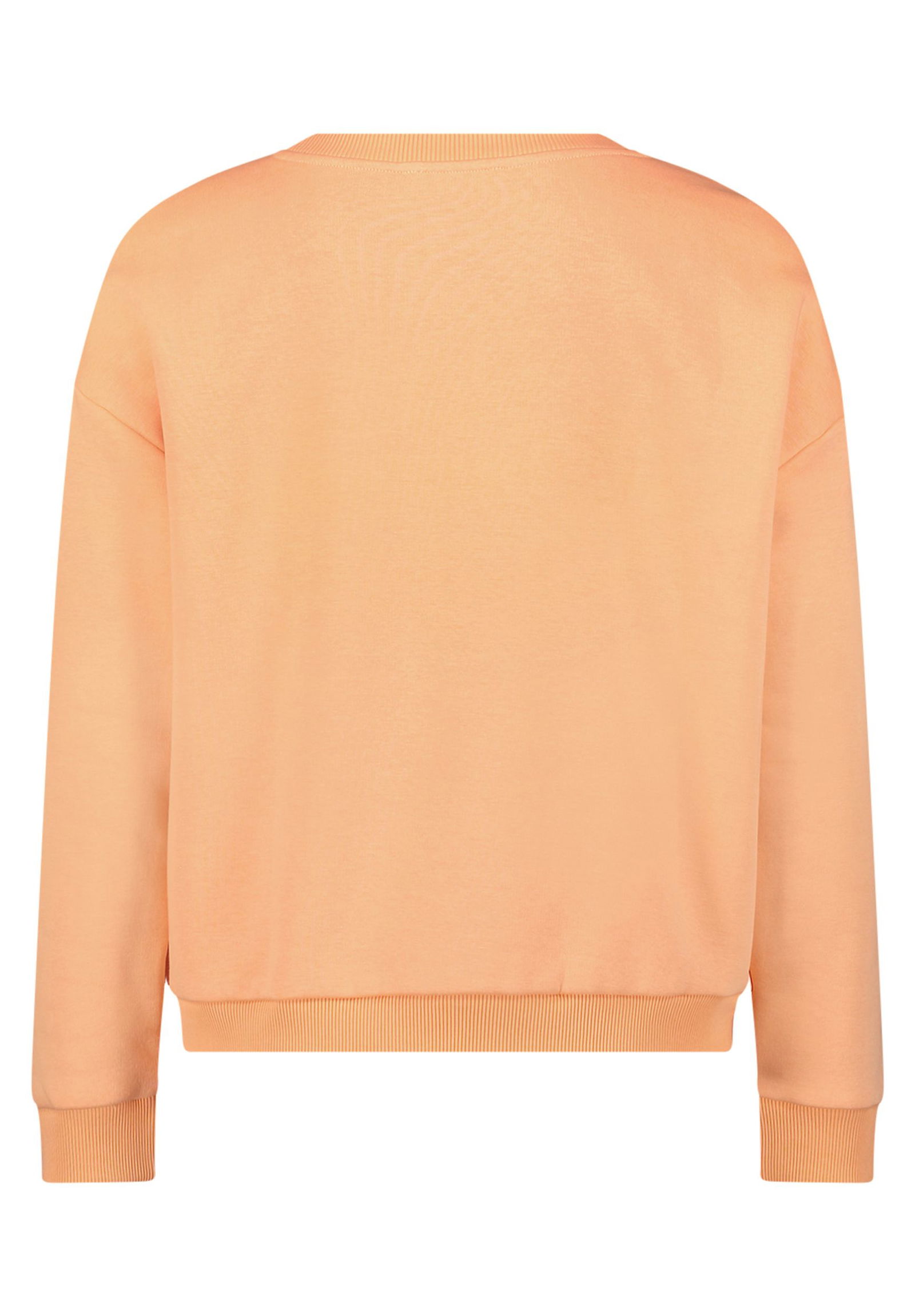 Cartoon |  Cartoon Sweatshirt  | 36 | patch orange/pink