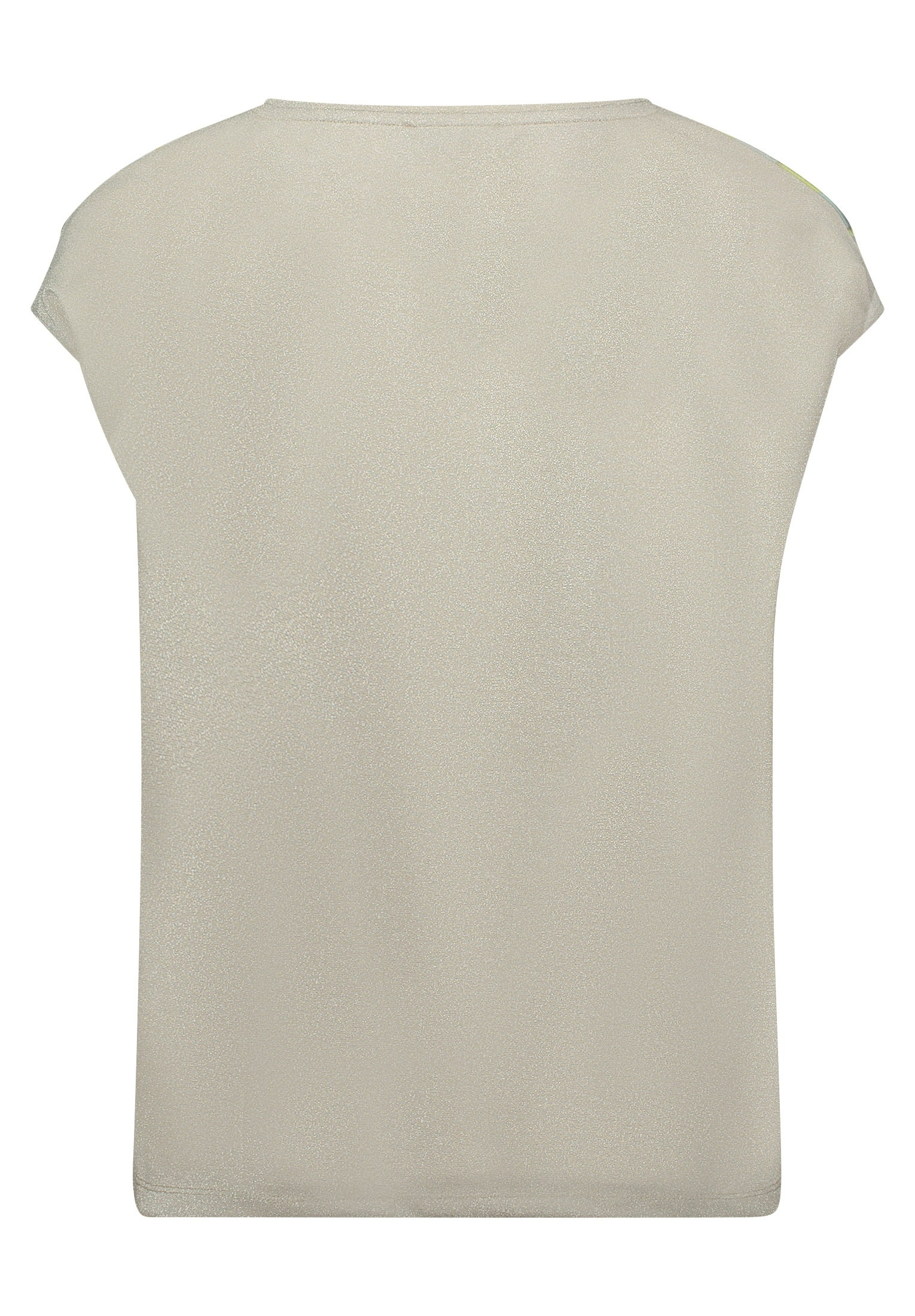 Blusenshirt #2