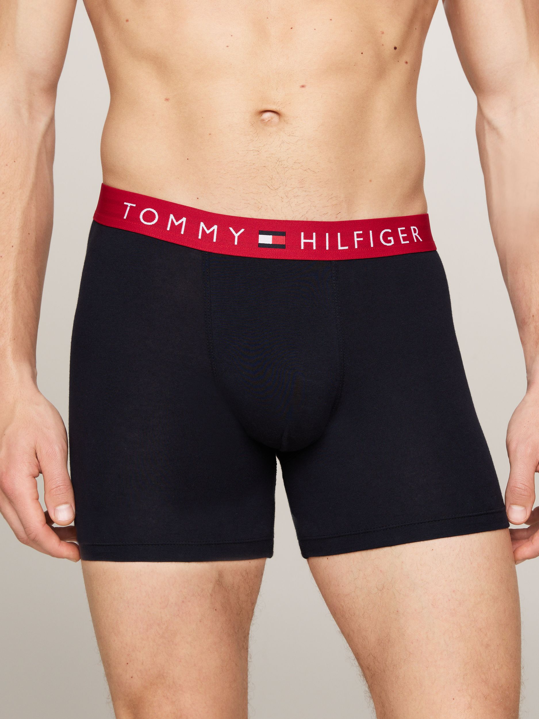 Tommy Hilfiger |  Tommy Hilfiger Multipack  | XL | 0R1